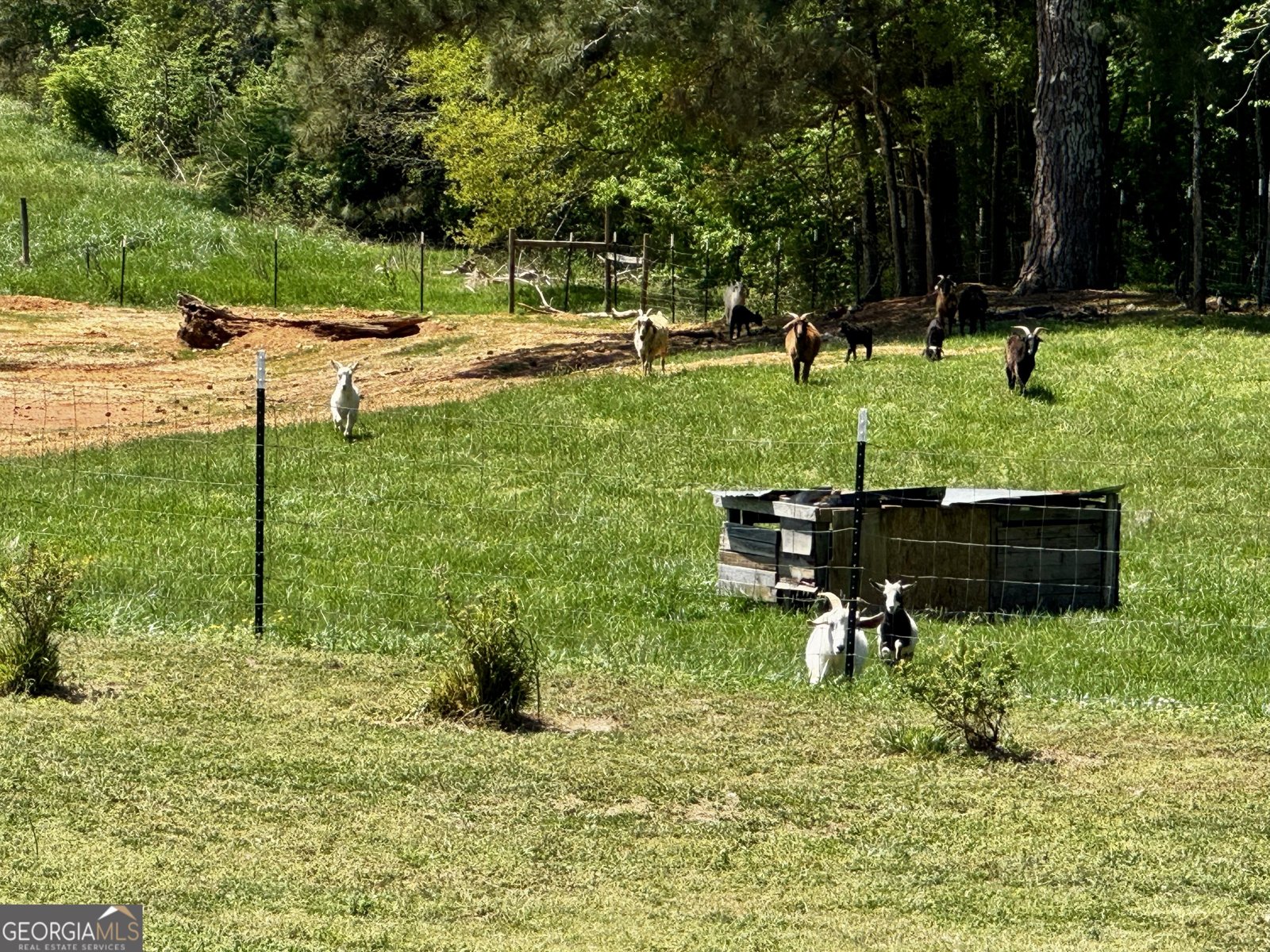 4515 Jacksonville Road Tallapoosa - Photo 38