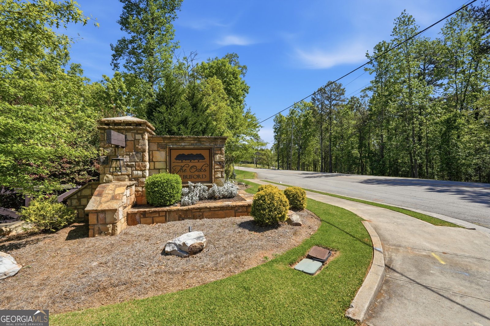 4217 Alba Lane Buford - Photo 86