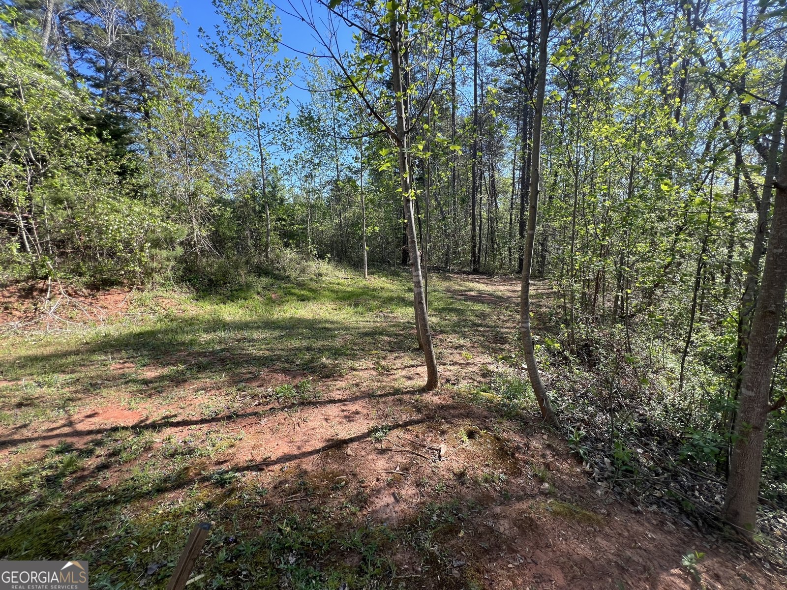 130 Goff Drive Martin - Photo 14