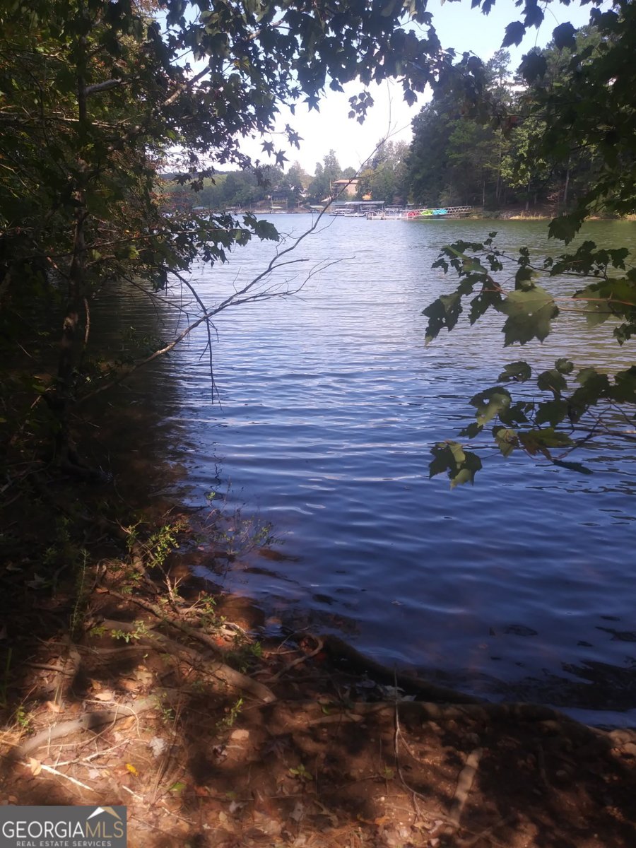 130 Goff Drive Martin - Photo 15