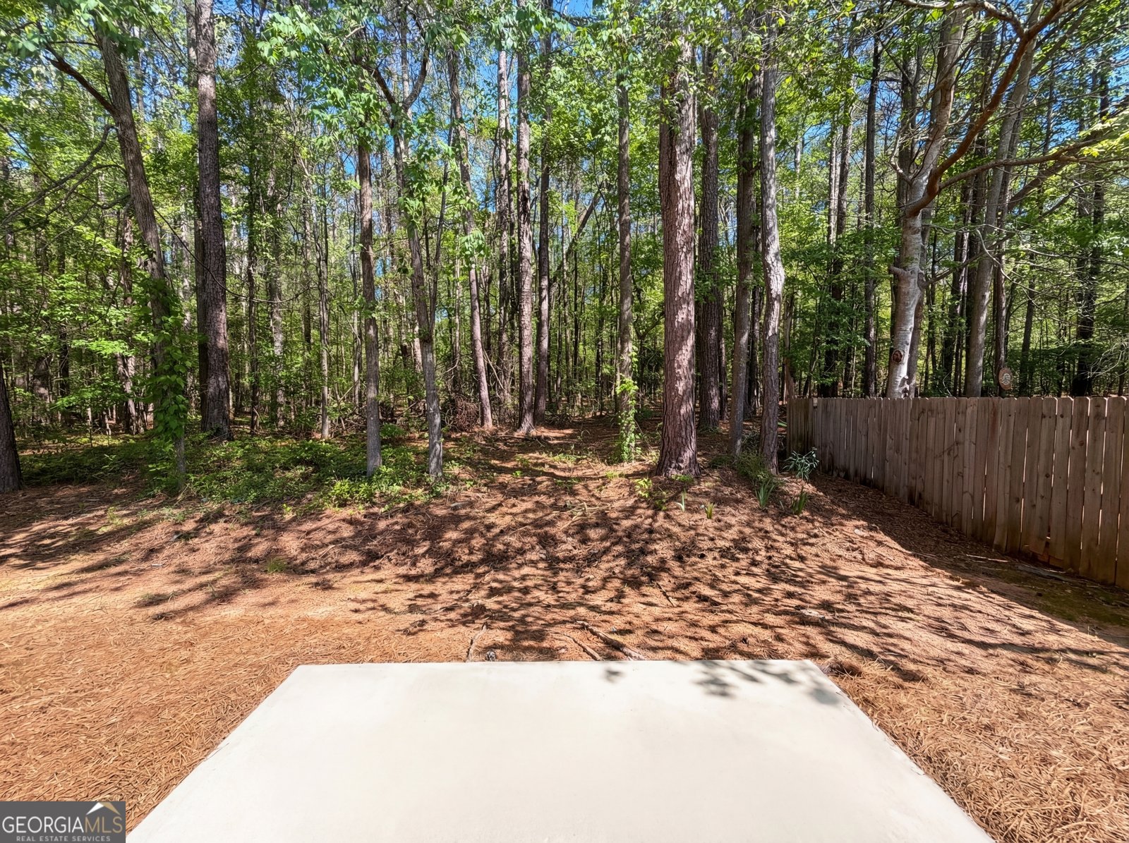 172 Watercress Court Stockbridge - Photo 23