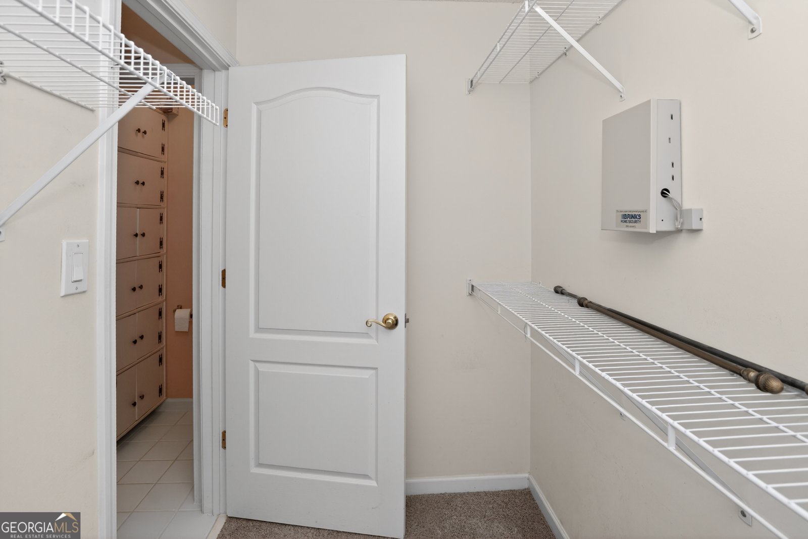 133 Meridian Drive Stockbridge - Photo 56