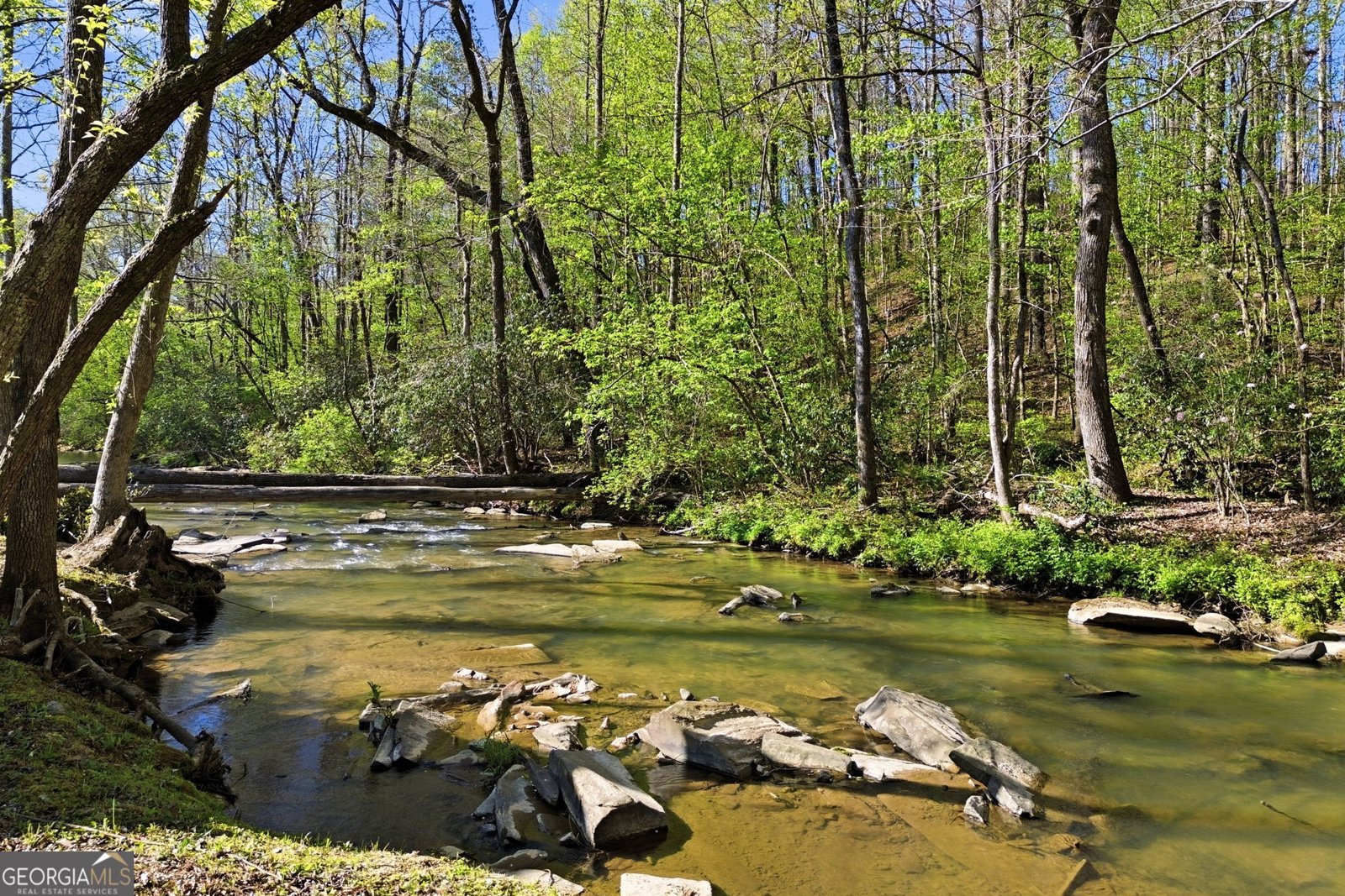 736 Town Creek Church Road Talking Rock - Photo 85