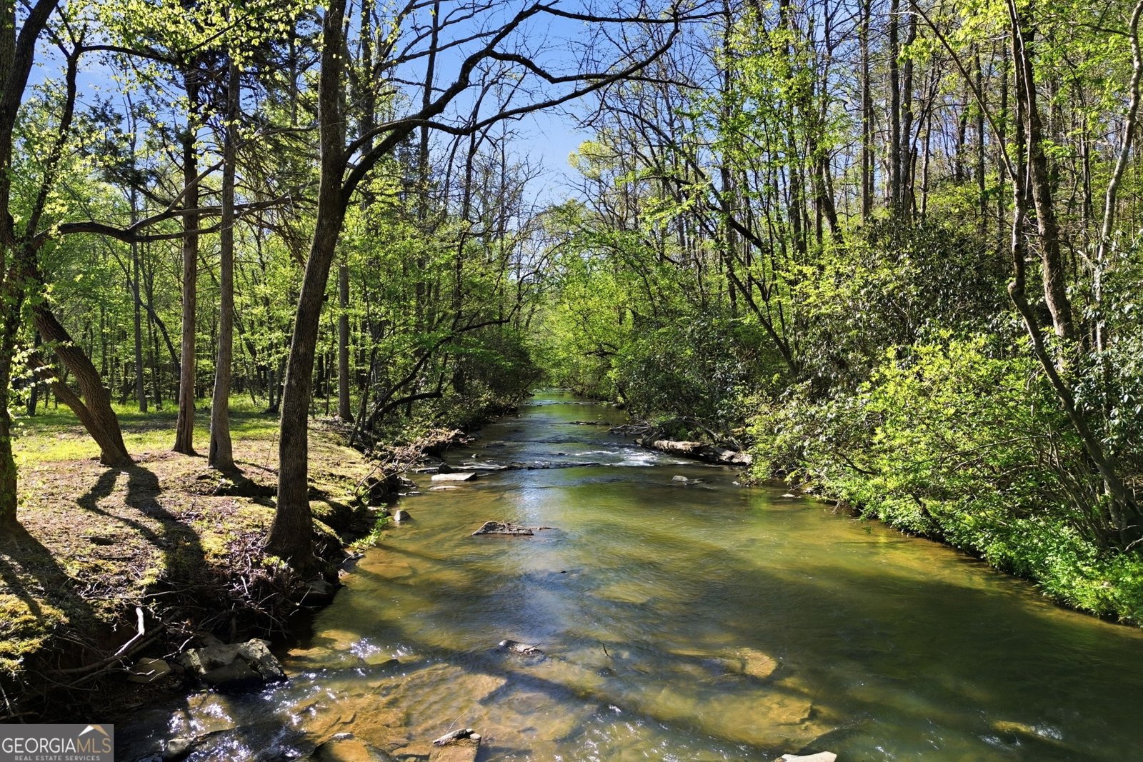 736 Town Creek Church Road Talking Rock - Photo 86