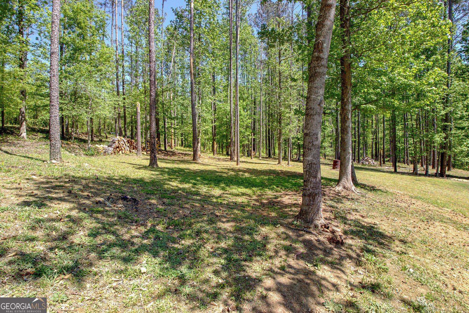 153 Carlow Court Newnan - Photo 51