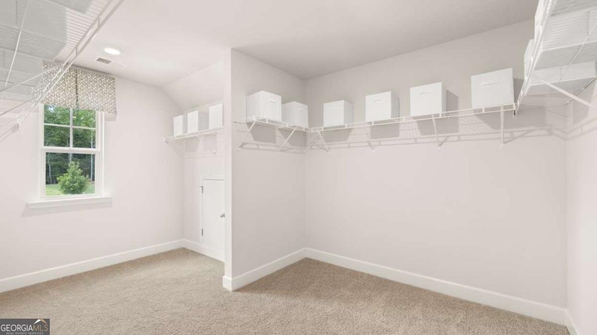 120 Sapelo Drive Senoia - Photo 55