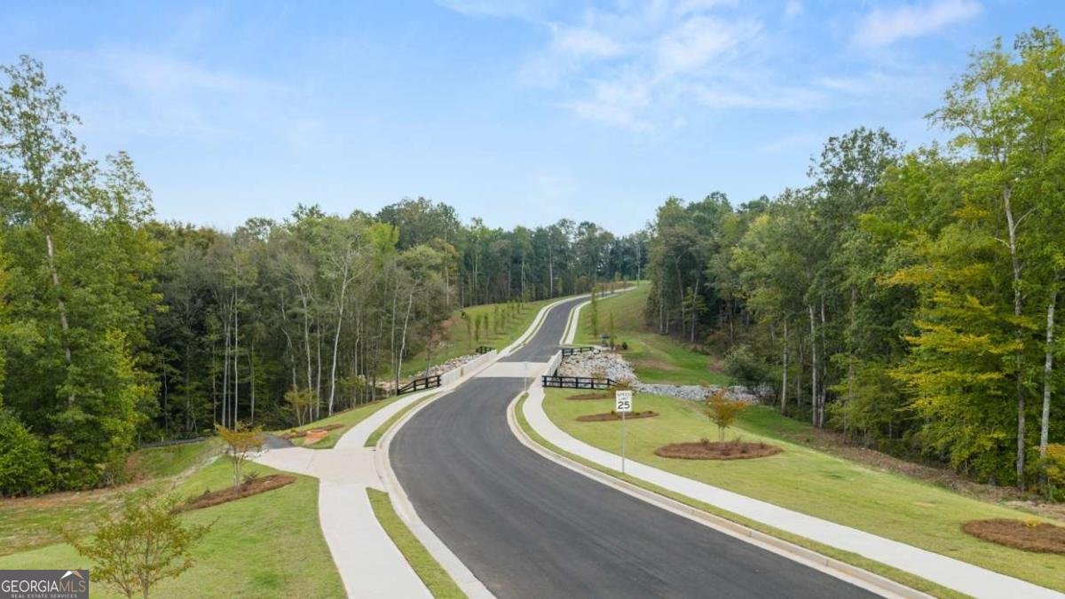 120 Sapelo Drive Senoia - Photo 74