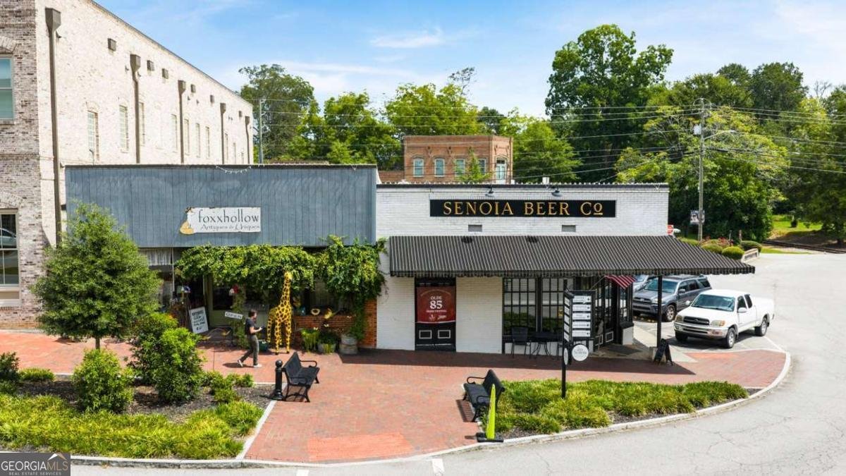 120 Sapelo Drive Senoia - Photo 81