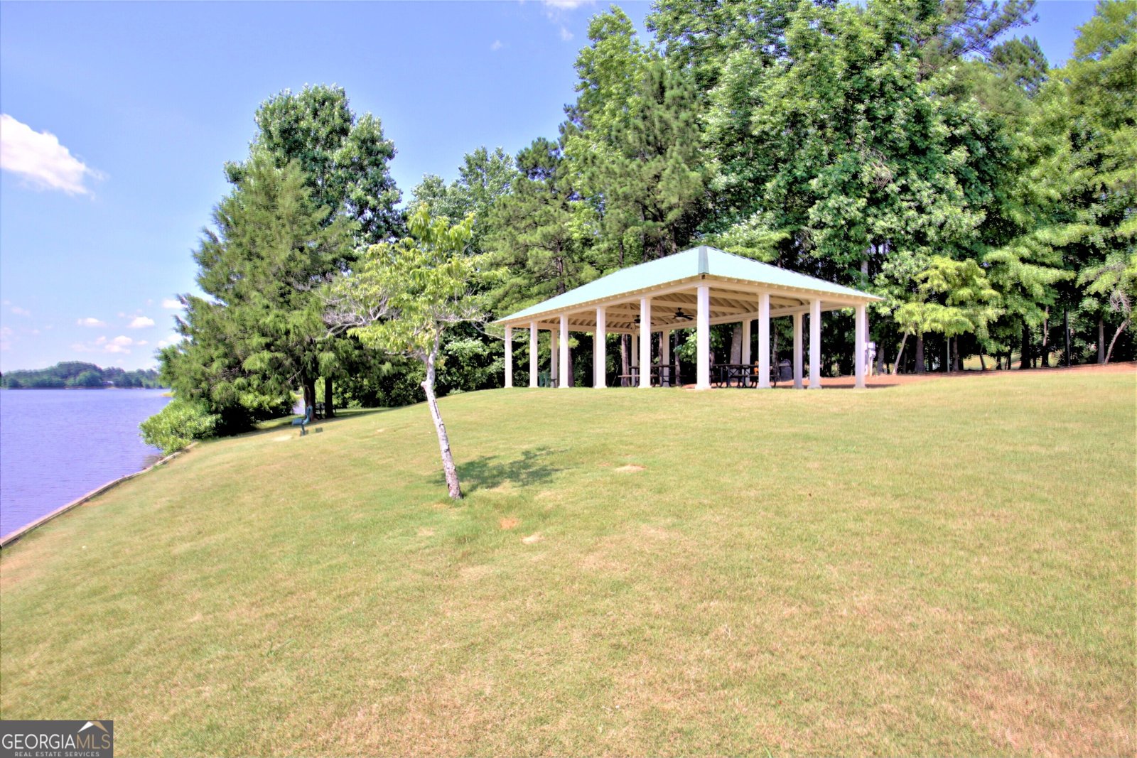 151 Lake Forest Drive Newnan - Photo 101