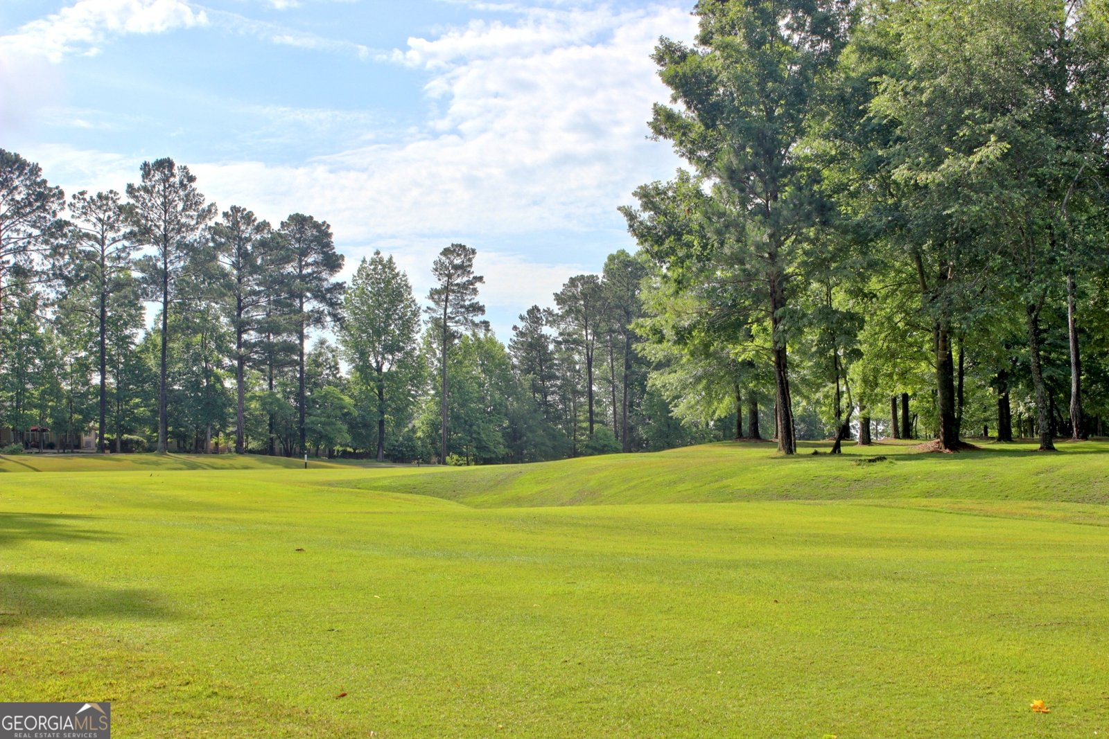 151 Lake Forest Drive Newnan - Photo 108