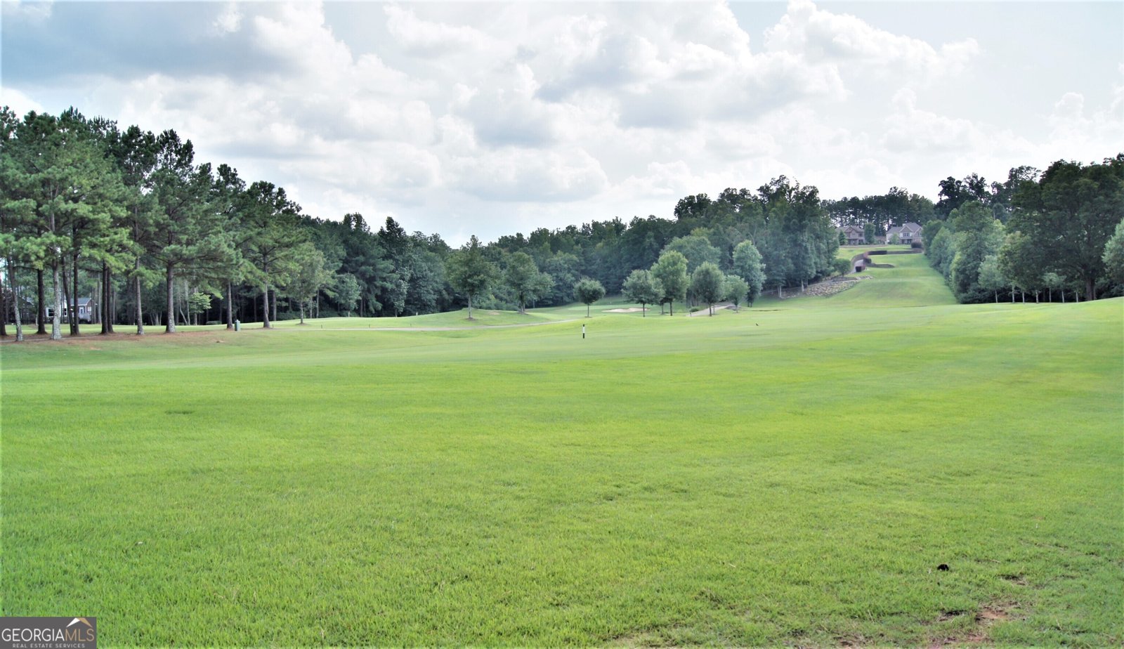 151 Lake Forest Drive Newnan - Photo 109