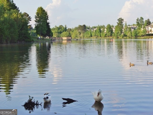 151 Lake Forest Drive Newnan - Photo 97