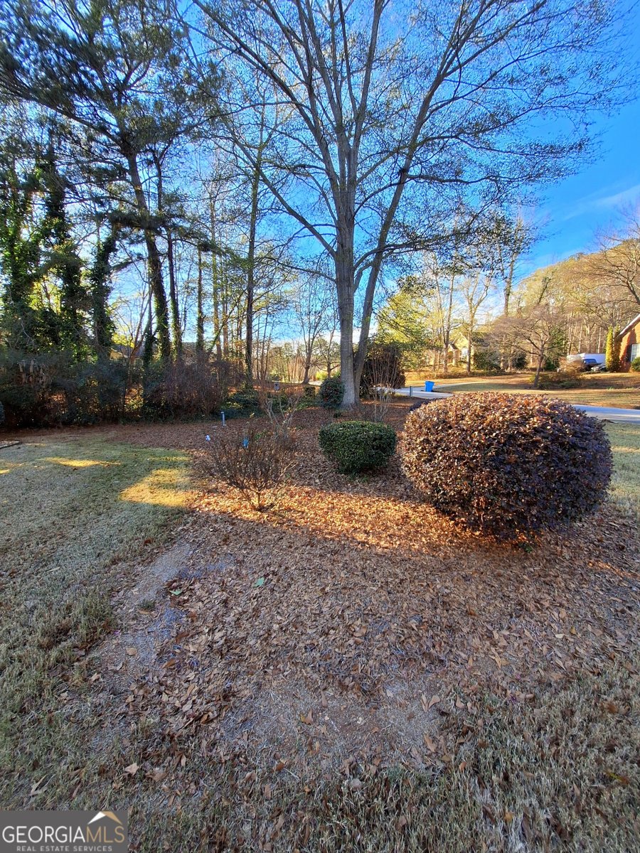 125 Chardonnay Oaks Drive McDonough - Photo 17