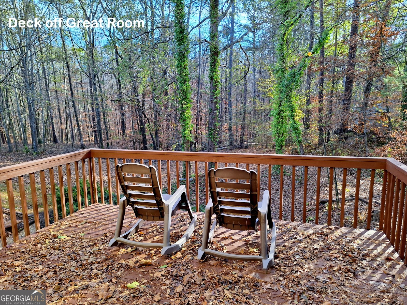 125 Chardonnay Oaks Drive McDonough - Photo 23