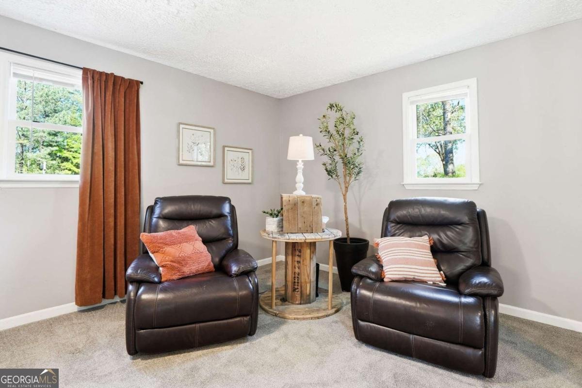 11005 Freehome Highway Canton - Photo 37