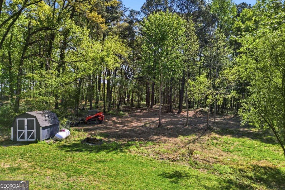 11005 Freehome Highway Canton - Photo 47