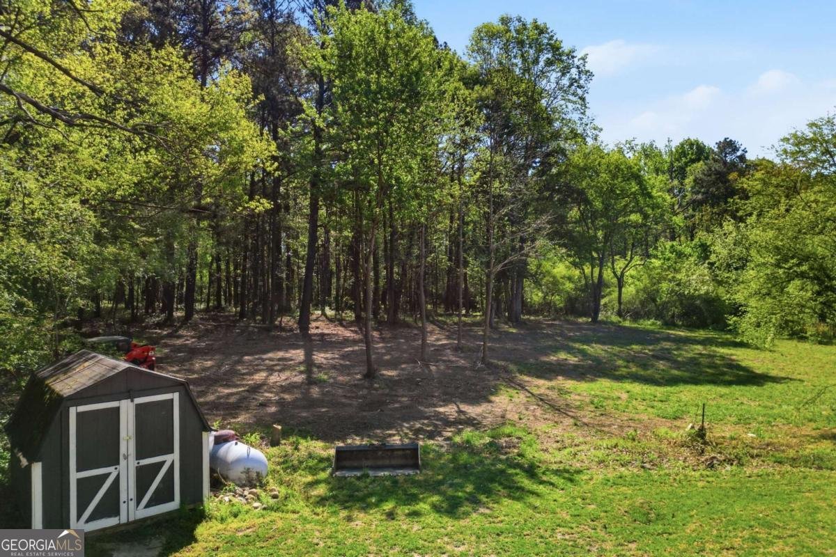 11005 Freehome Highway Canton - Photo 48