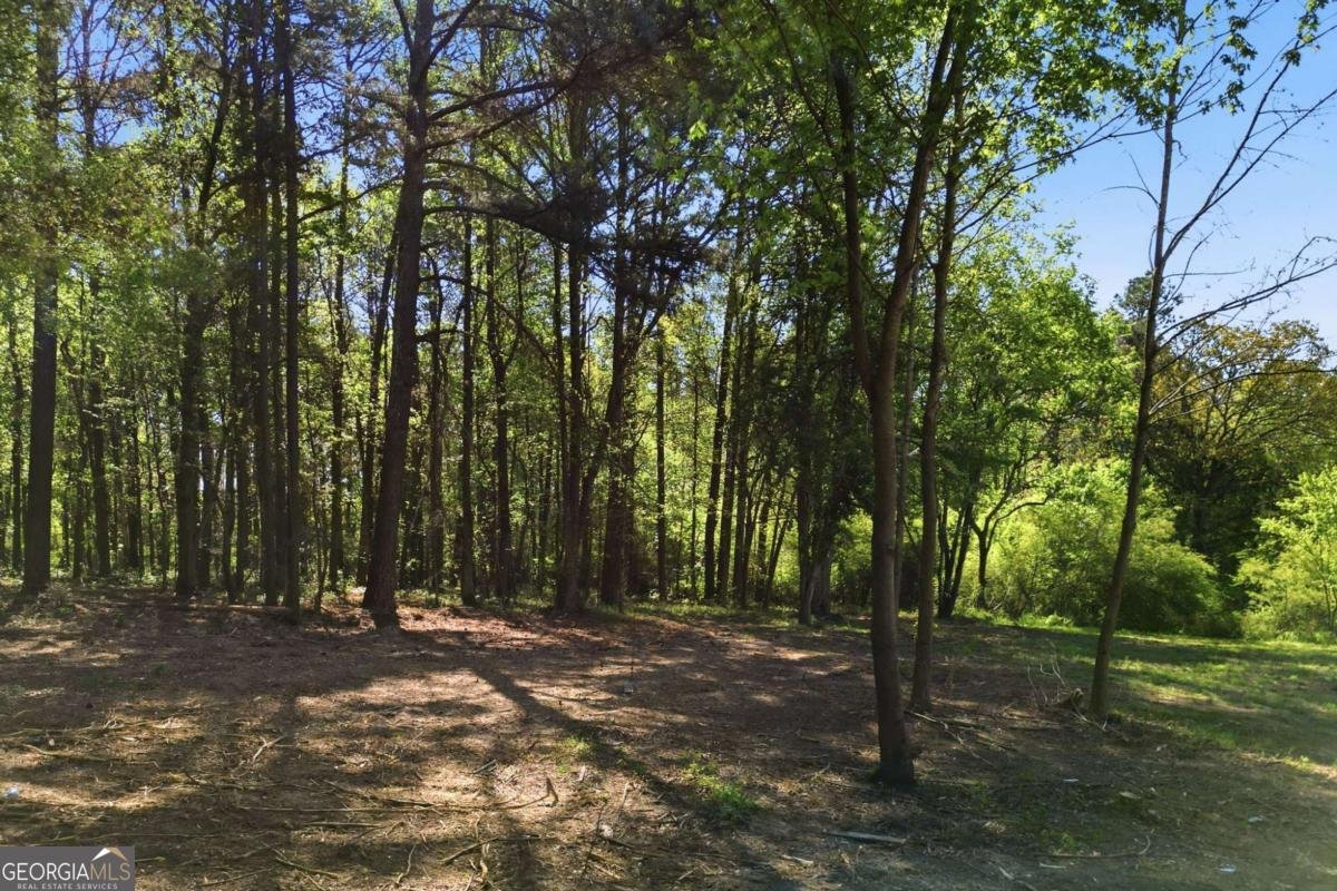 11005 Freehome Highway Canton - Photo 49