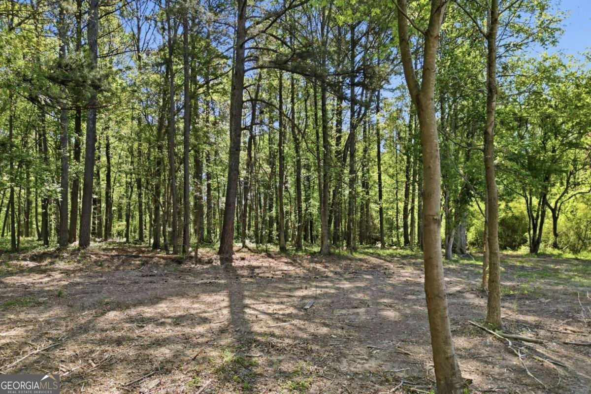 11005 Freehome Highway Canton - Photo 50