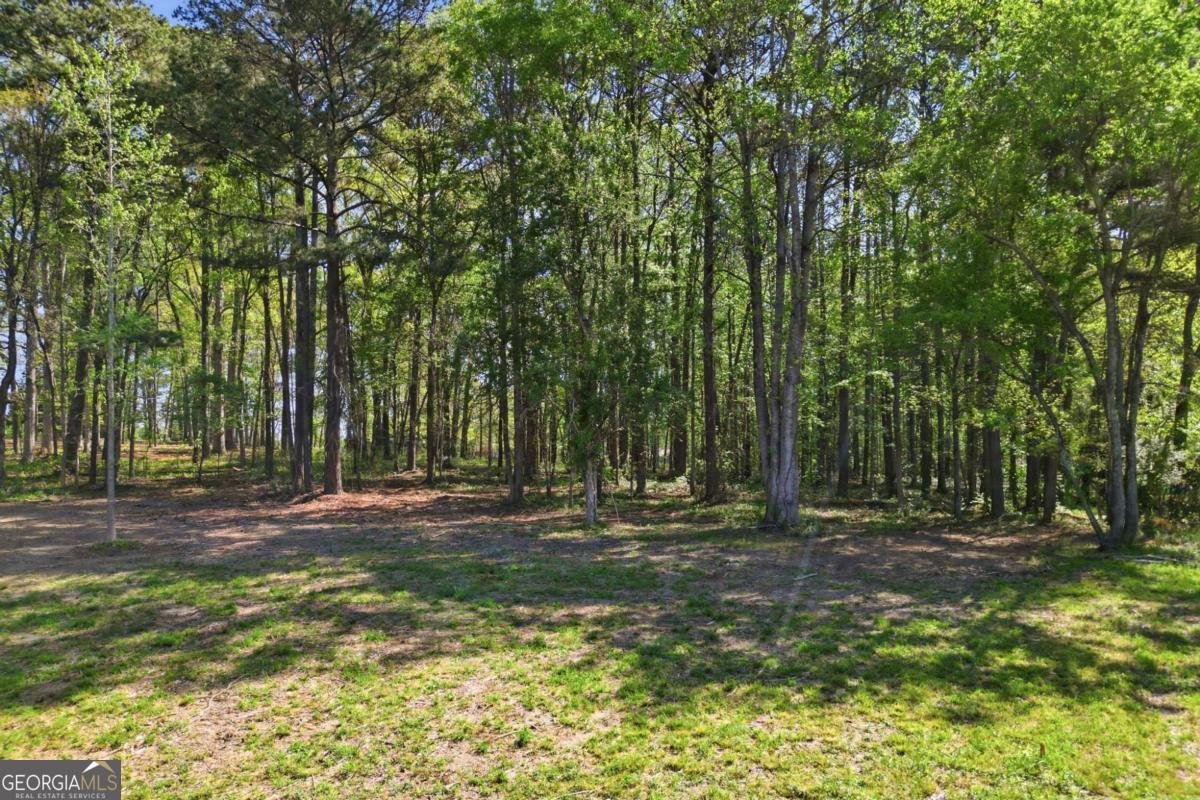 11005 Freehome Highway Canton - Photo 51