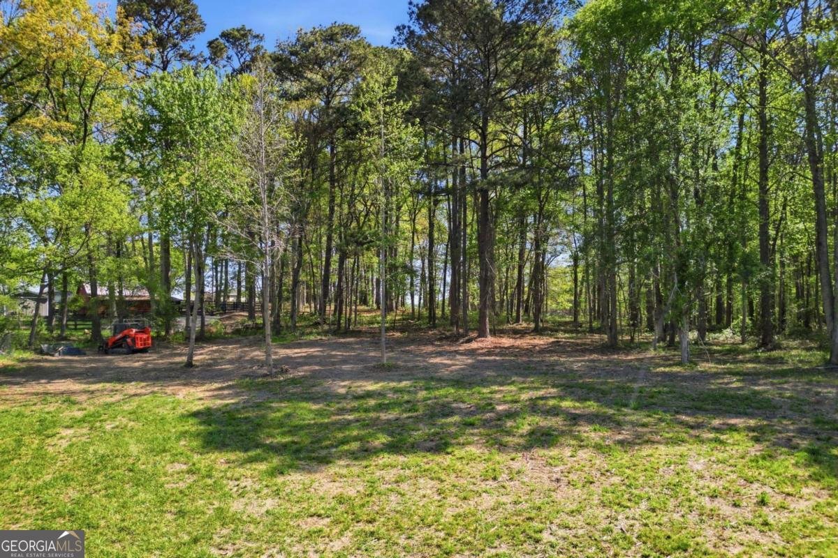 11005 Freehome Highway Canton - Photo 52