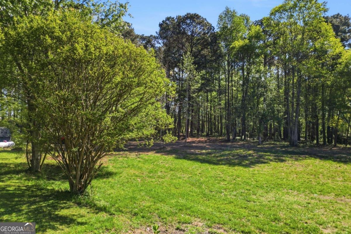 11005 Freehome Highway Canton - Photo 53