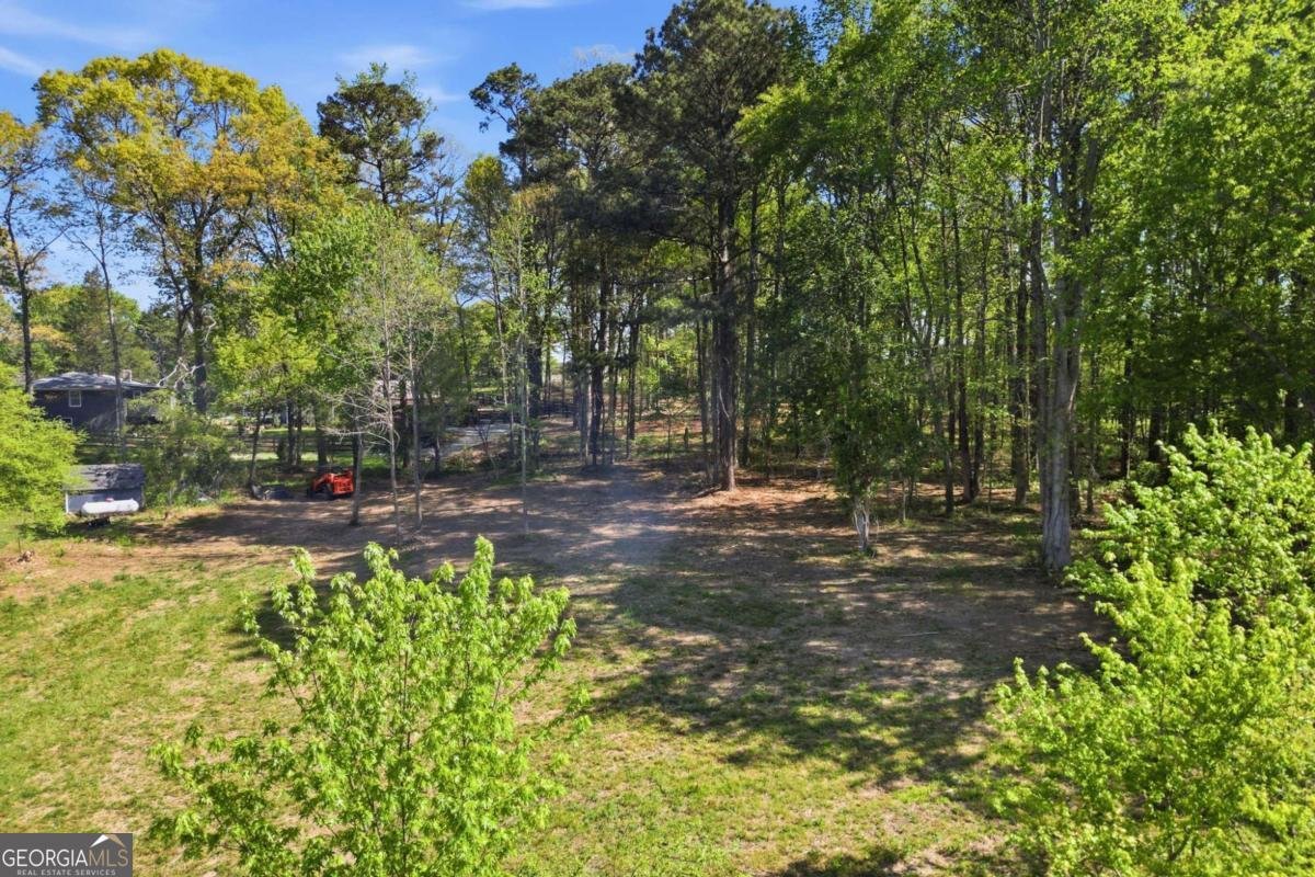 11005 Freehome Highway Canton - Photo 54