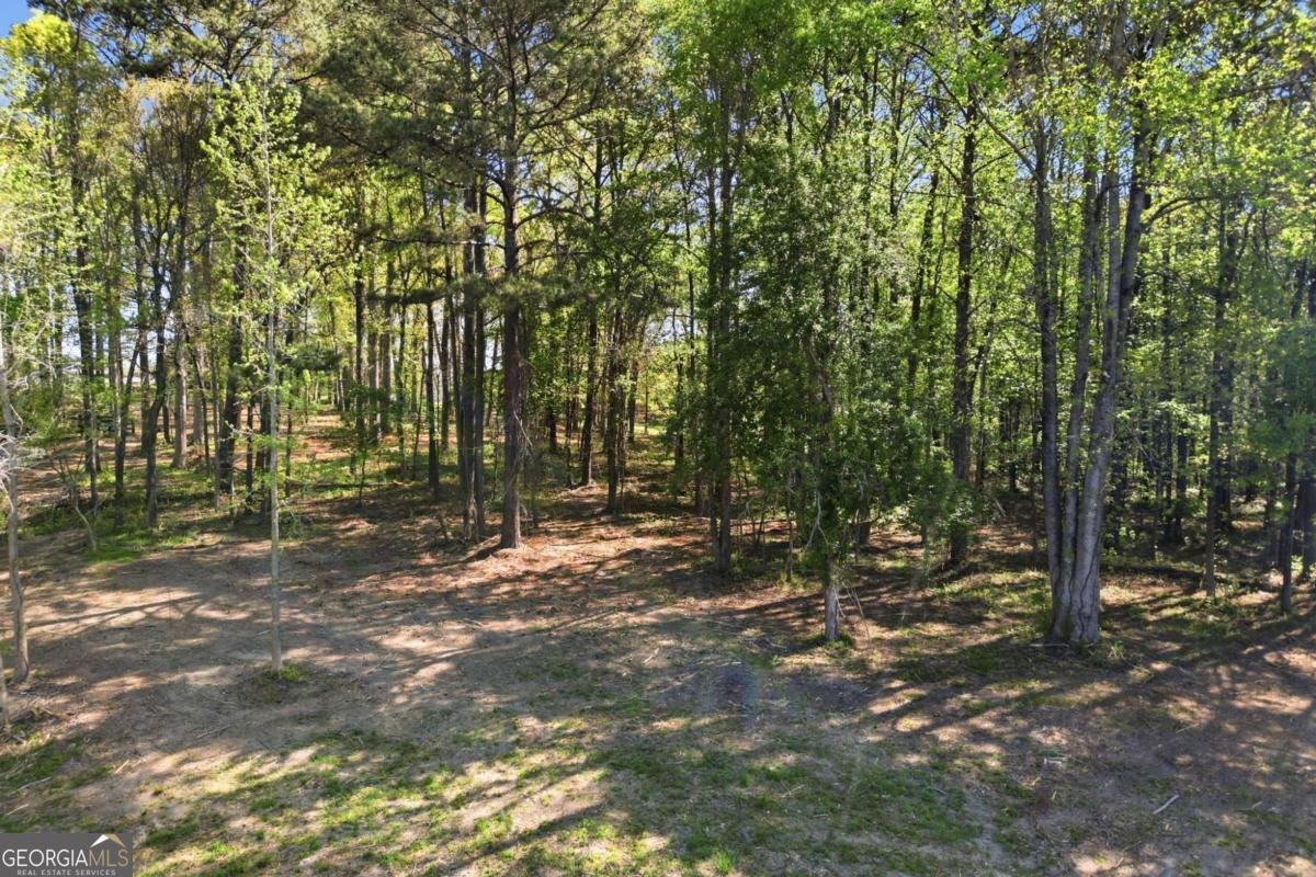 11005 Freehome Highway Canton - Photo 55