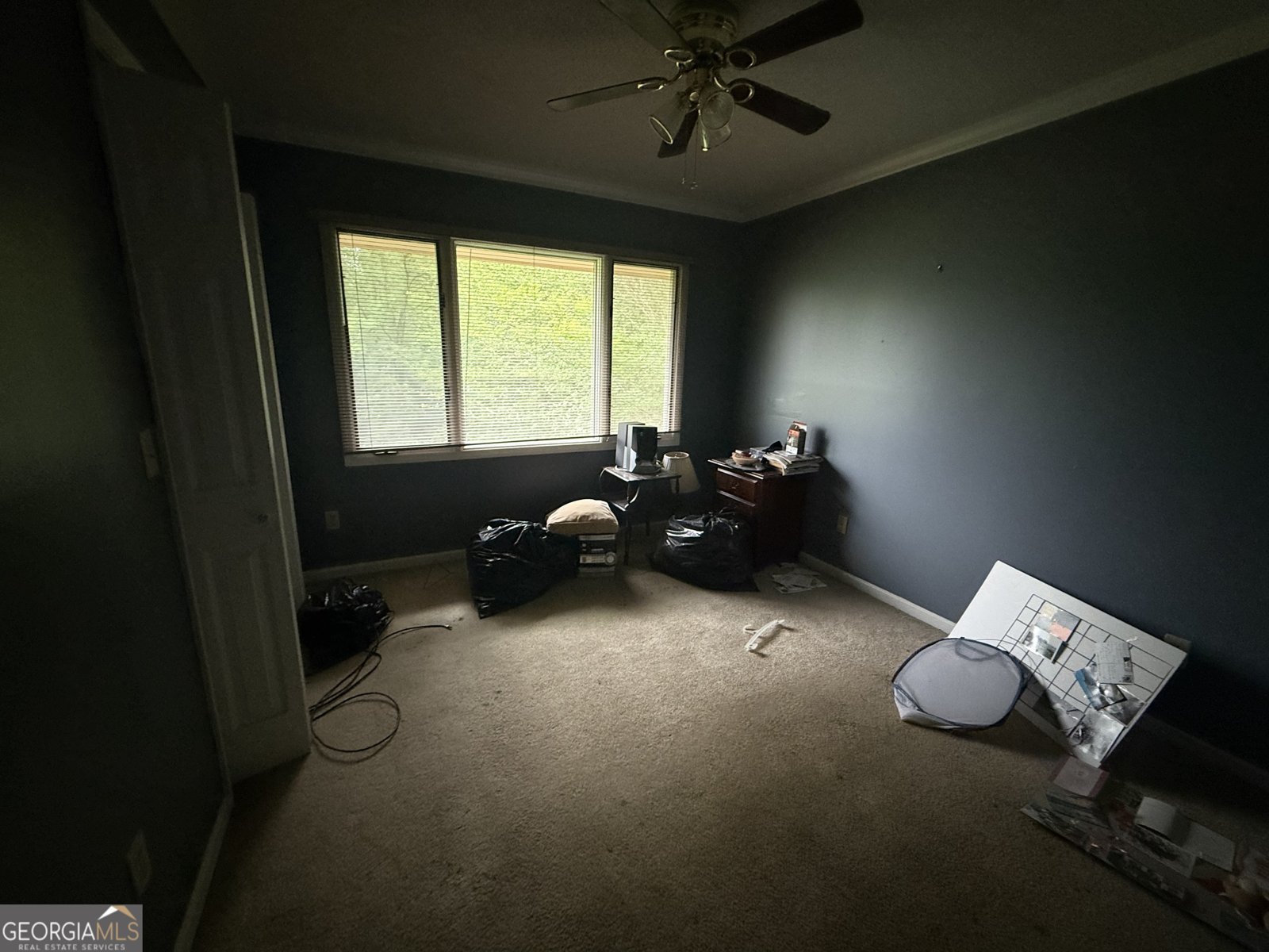 4680 Pulaski Road Statesboro - Photo 16