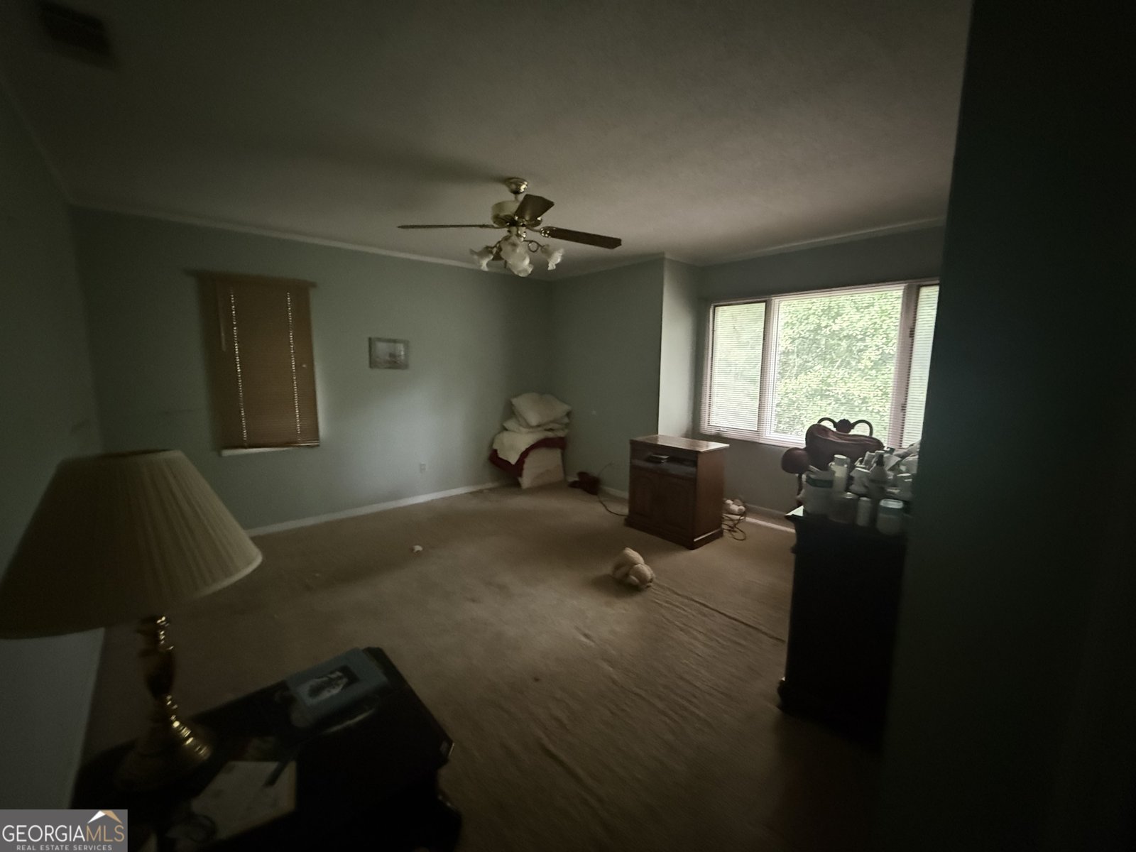 4680 Pulaski Road Statesboro - Photo 17
