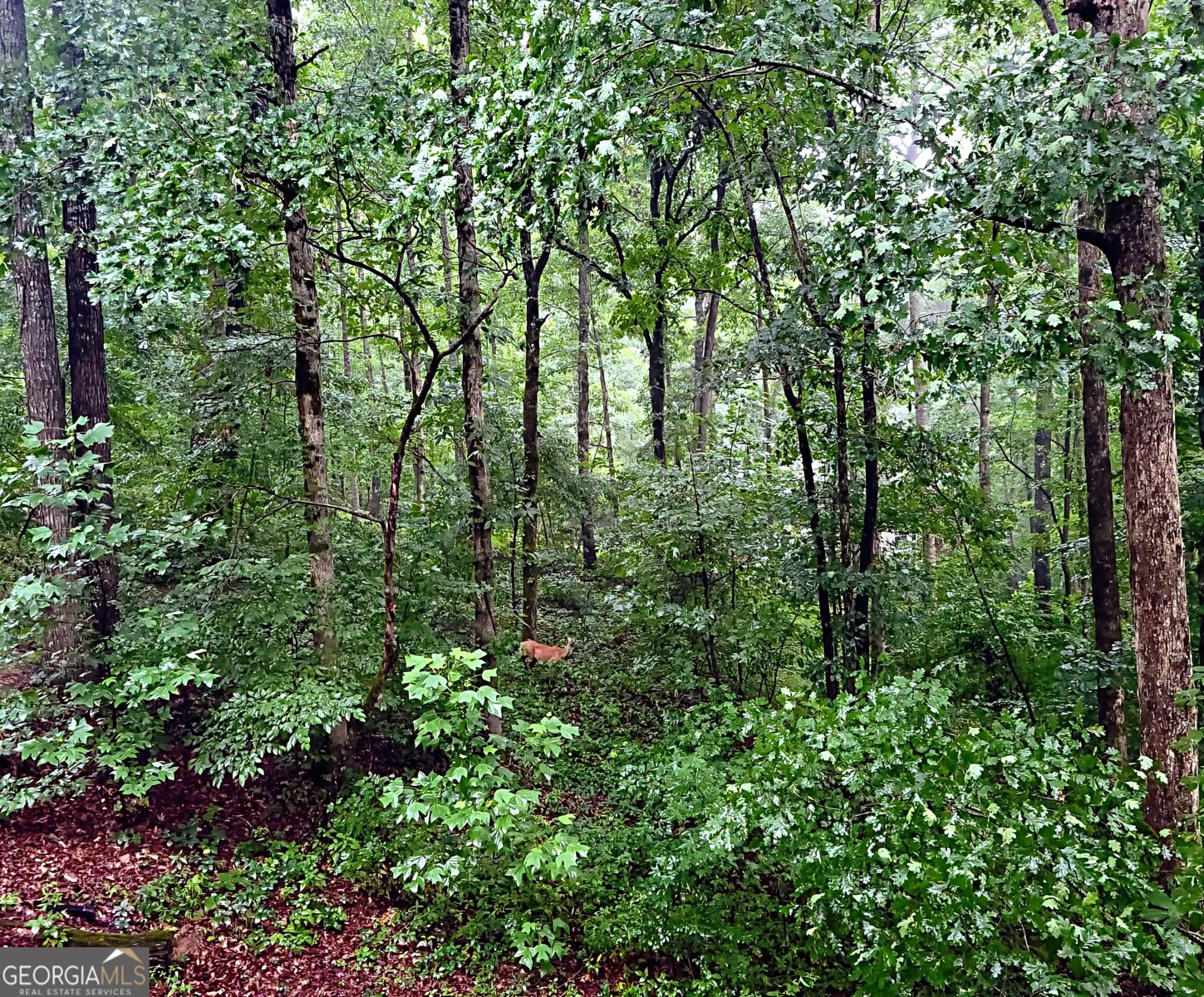 324 Sutallee Place White - Photo 29