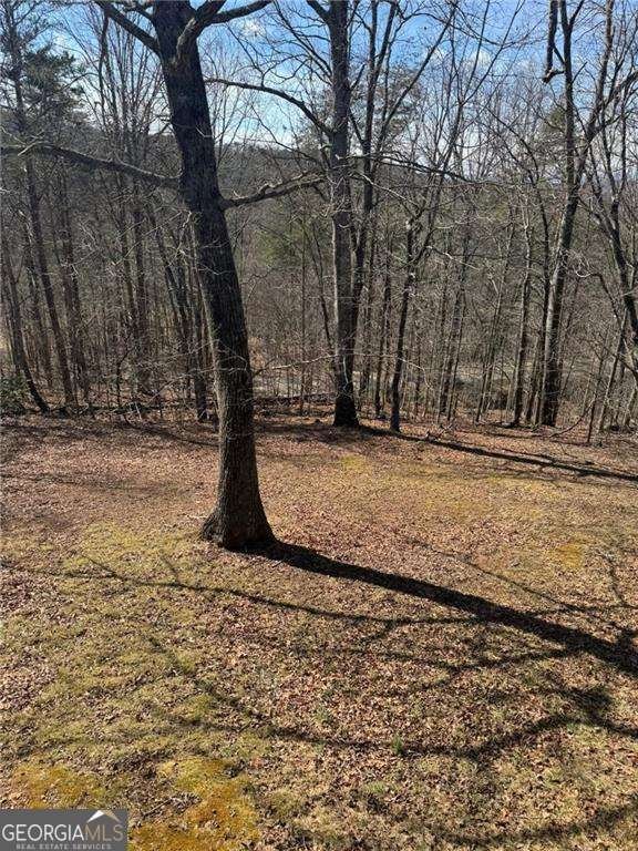 7089 Highway 19 Dahlonega - Photo 17