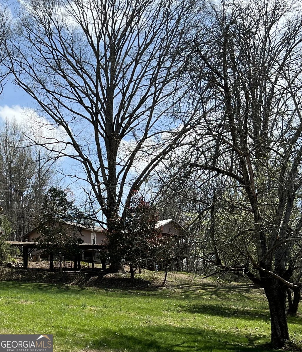 7089 Highway 19 Dahlonega - Photo 20