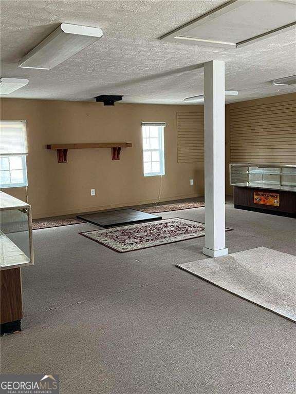 7089 Highway 19 Dahlonega - Photo 8