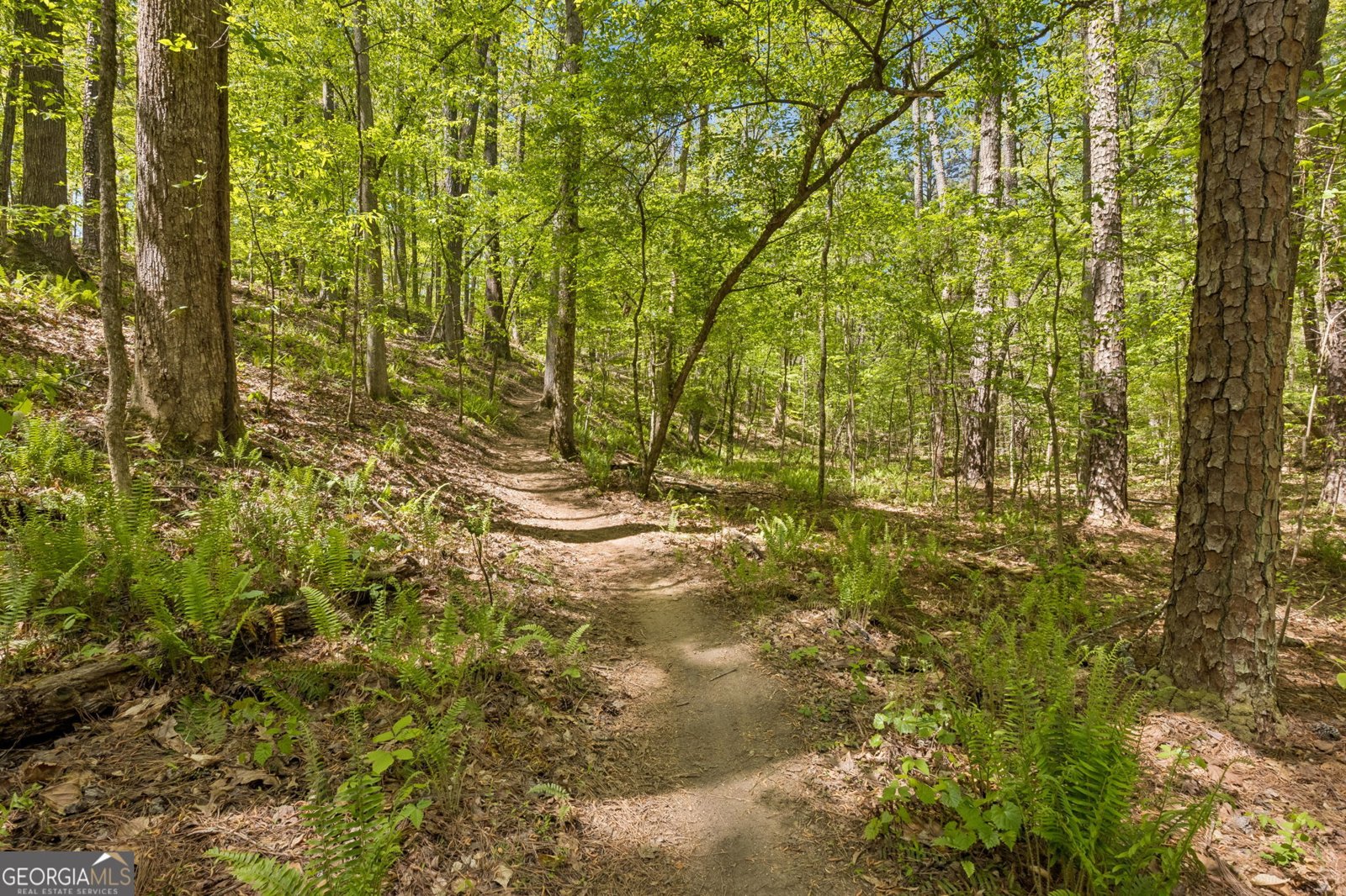 3316 High Noontide Way Acworth - Photo 56