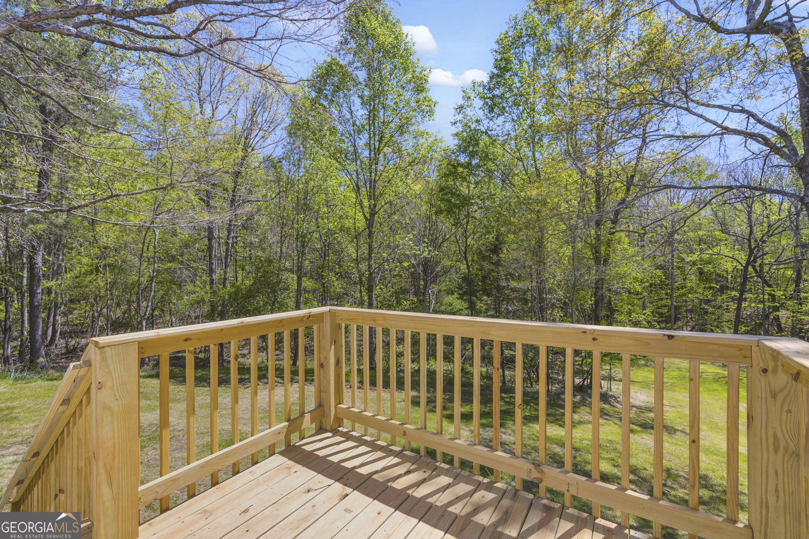 1715 Faye Carey Road Danielsville - Photo 32