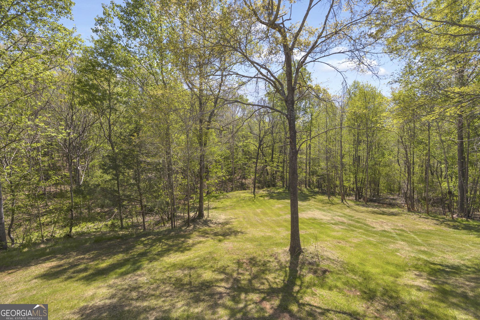 1715 Faye Carey Road Danielsville - Photo 39