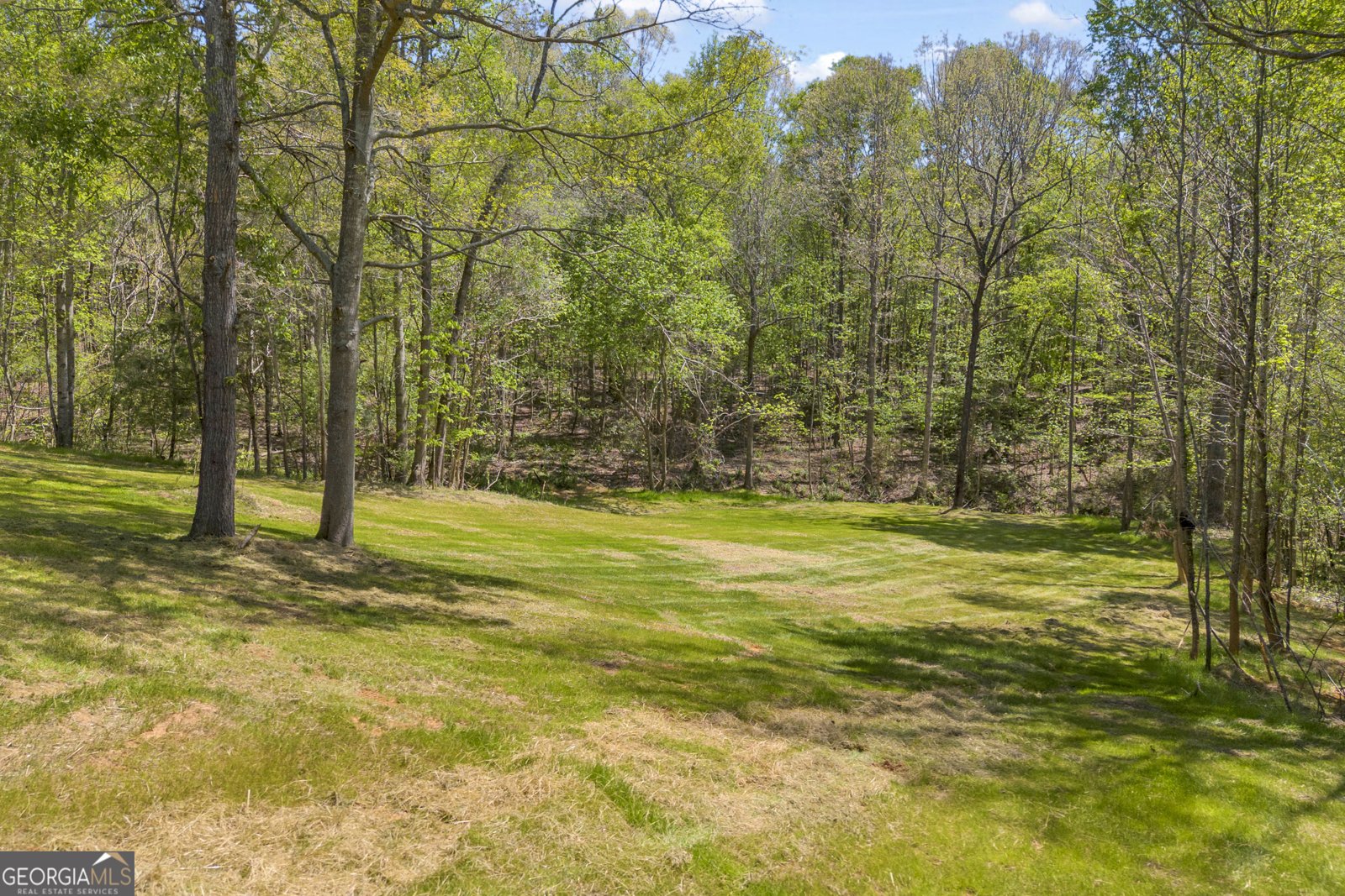 1715 Faye Carey Road Danielsville - Photo 40