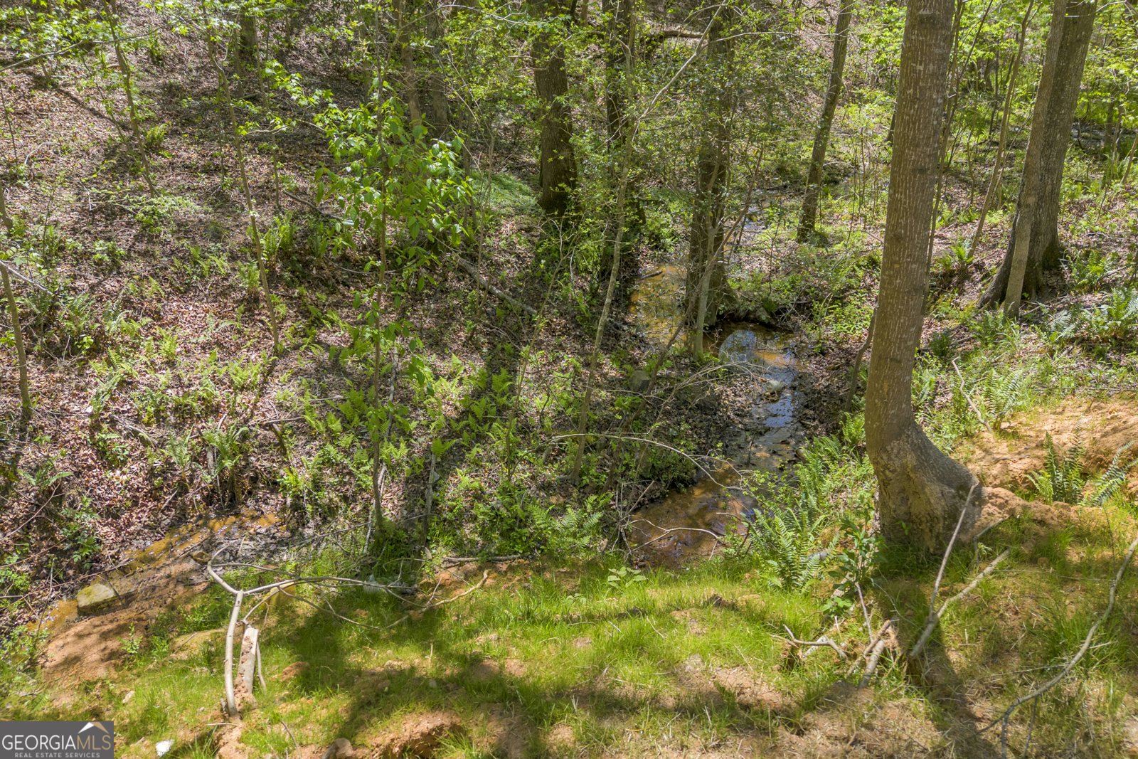 1715 Faye Carey Road Danielsville - Photo 42