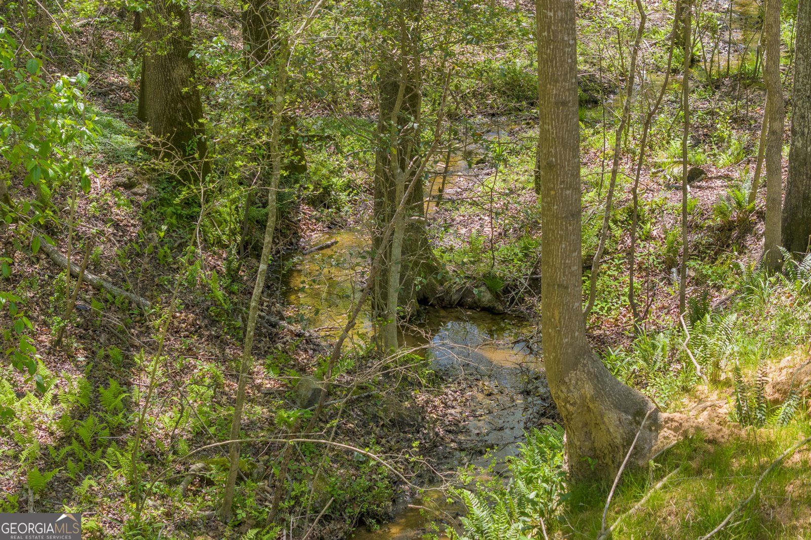 1715 Faye Carey Road Danielsville - Photo 43