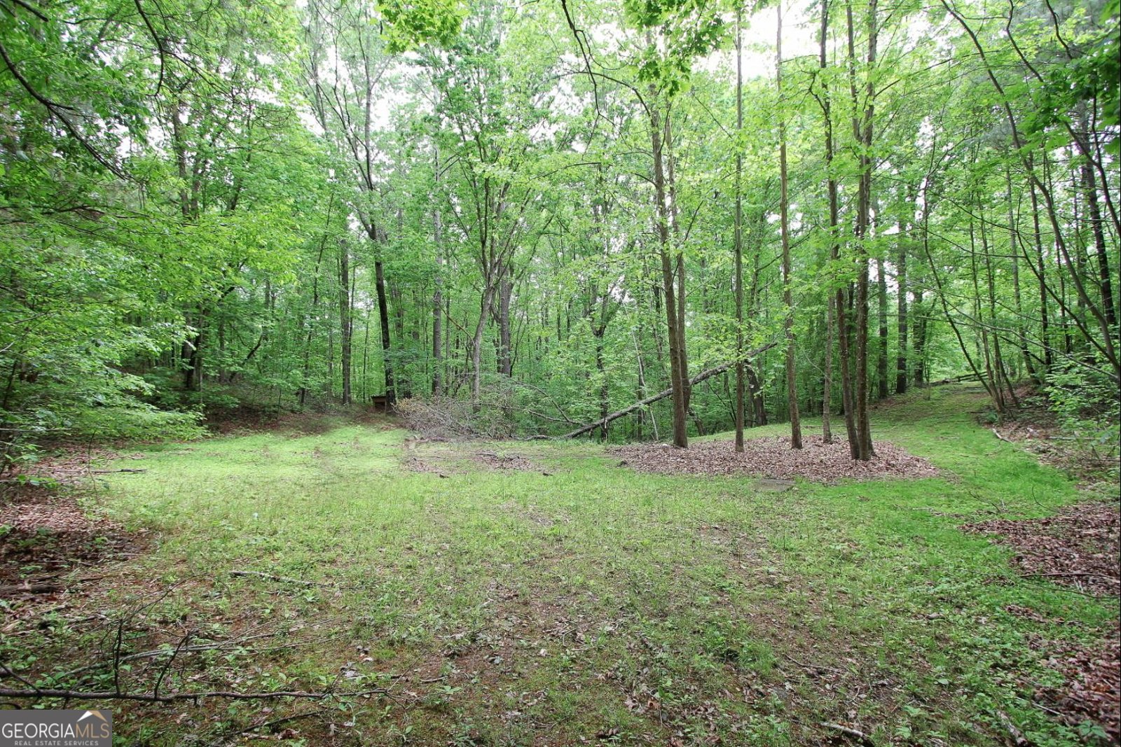 445 Lula Payne Trail Ball Ground - Photo 17