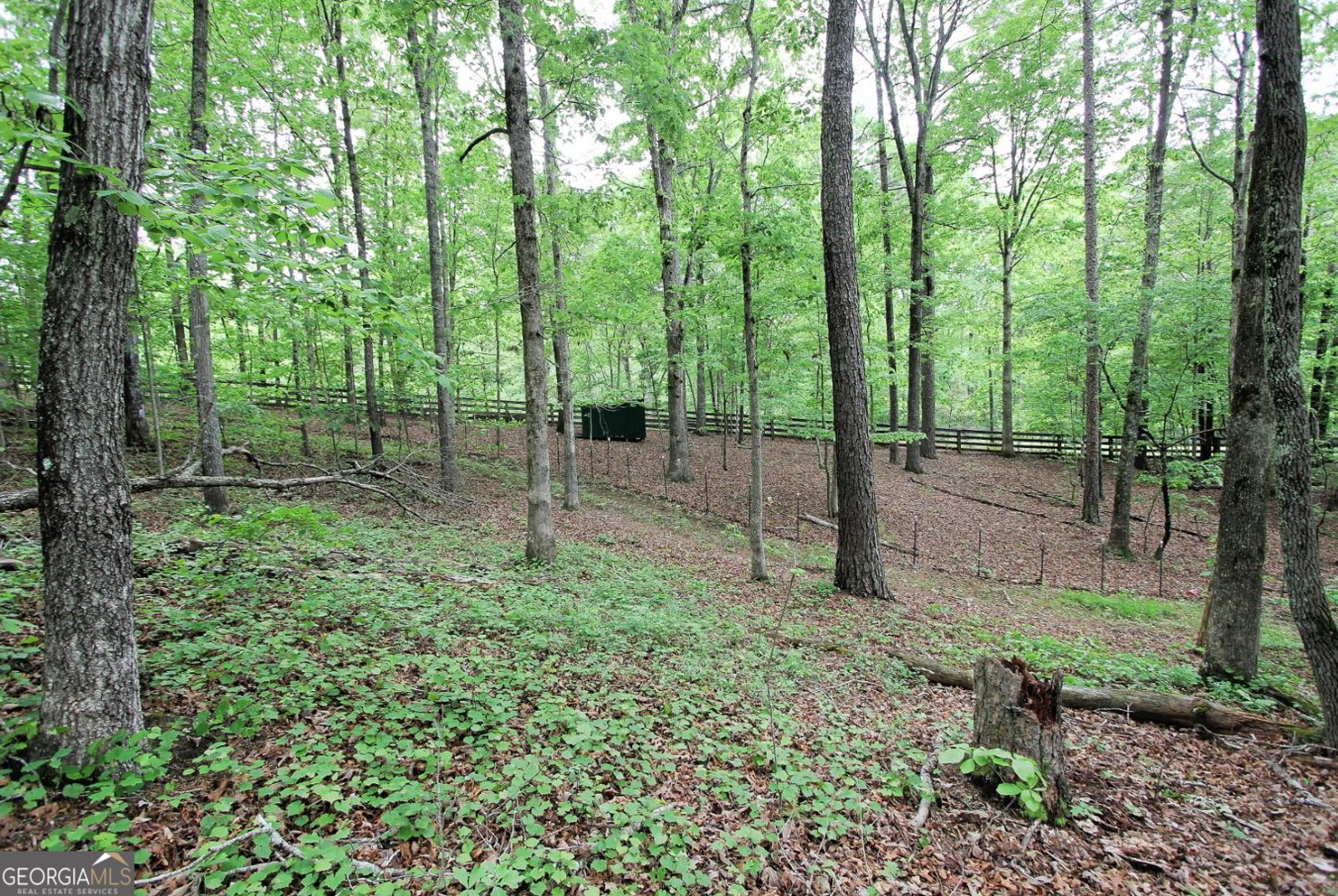 445 Lula Payne Trail Ball Ground - Photo 20