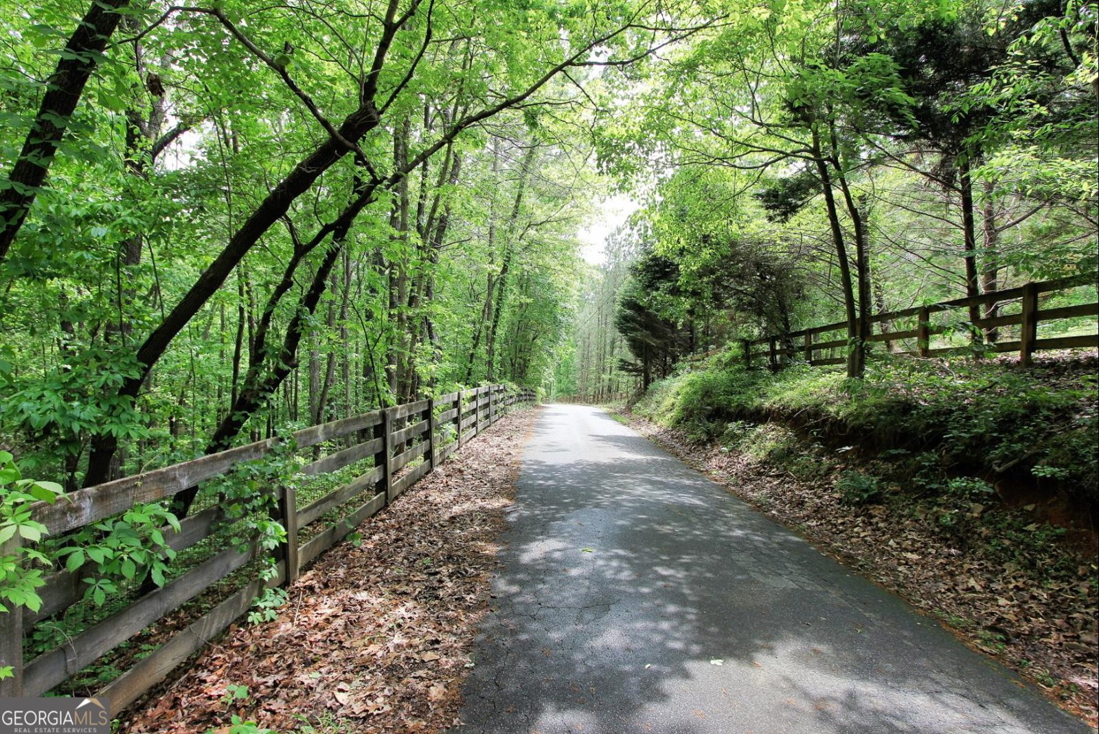 445 Lula Payne Trail Ball Ground - Photo 67