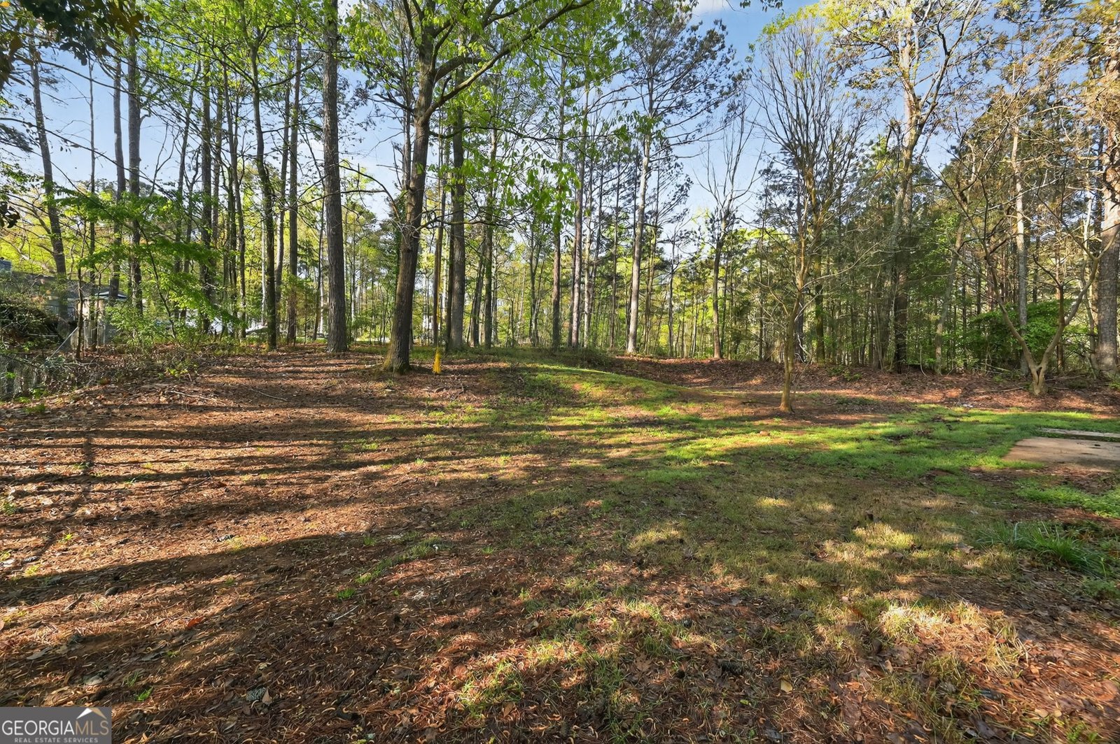 3751 Windy Hill Drive Conyers - Photo 30