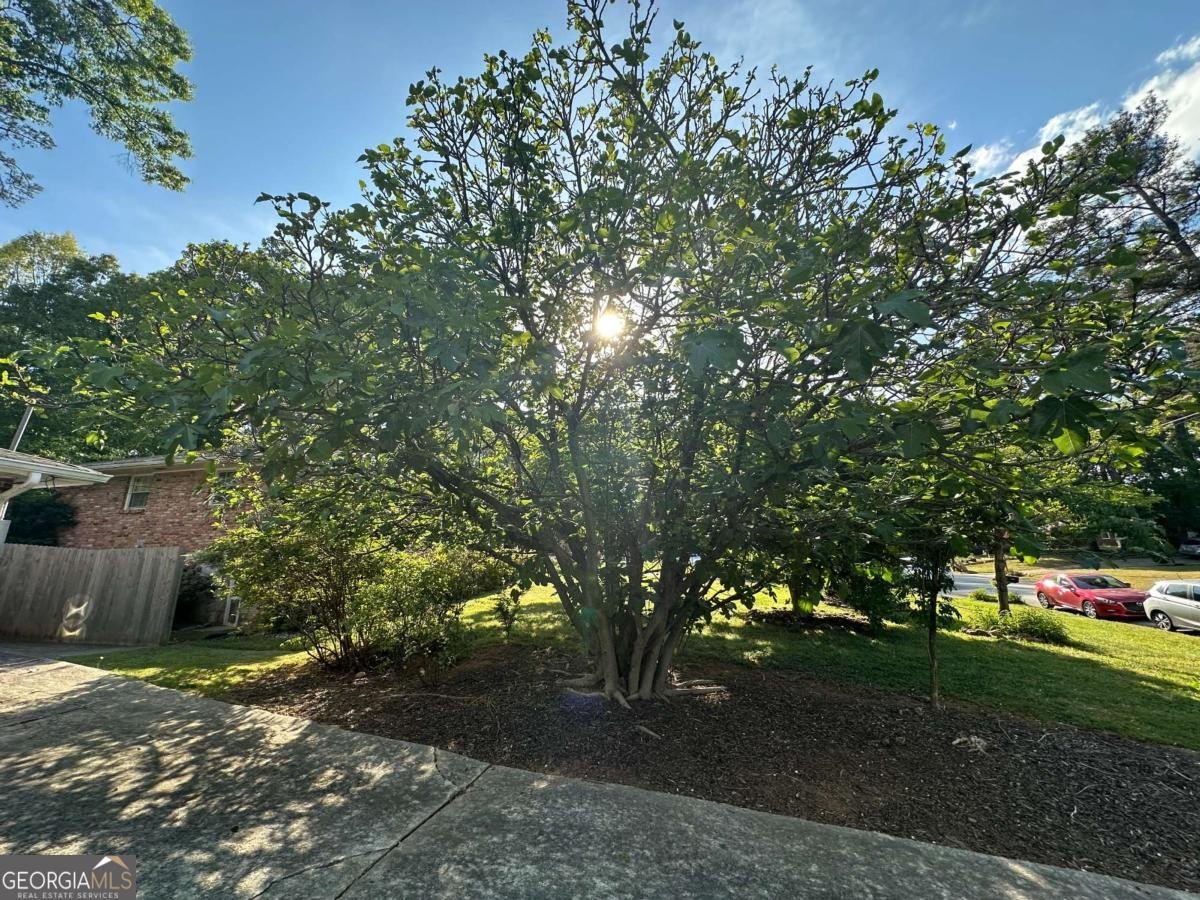 3215 Rehoboth Drive Decatur - Photo 38