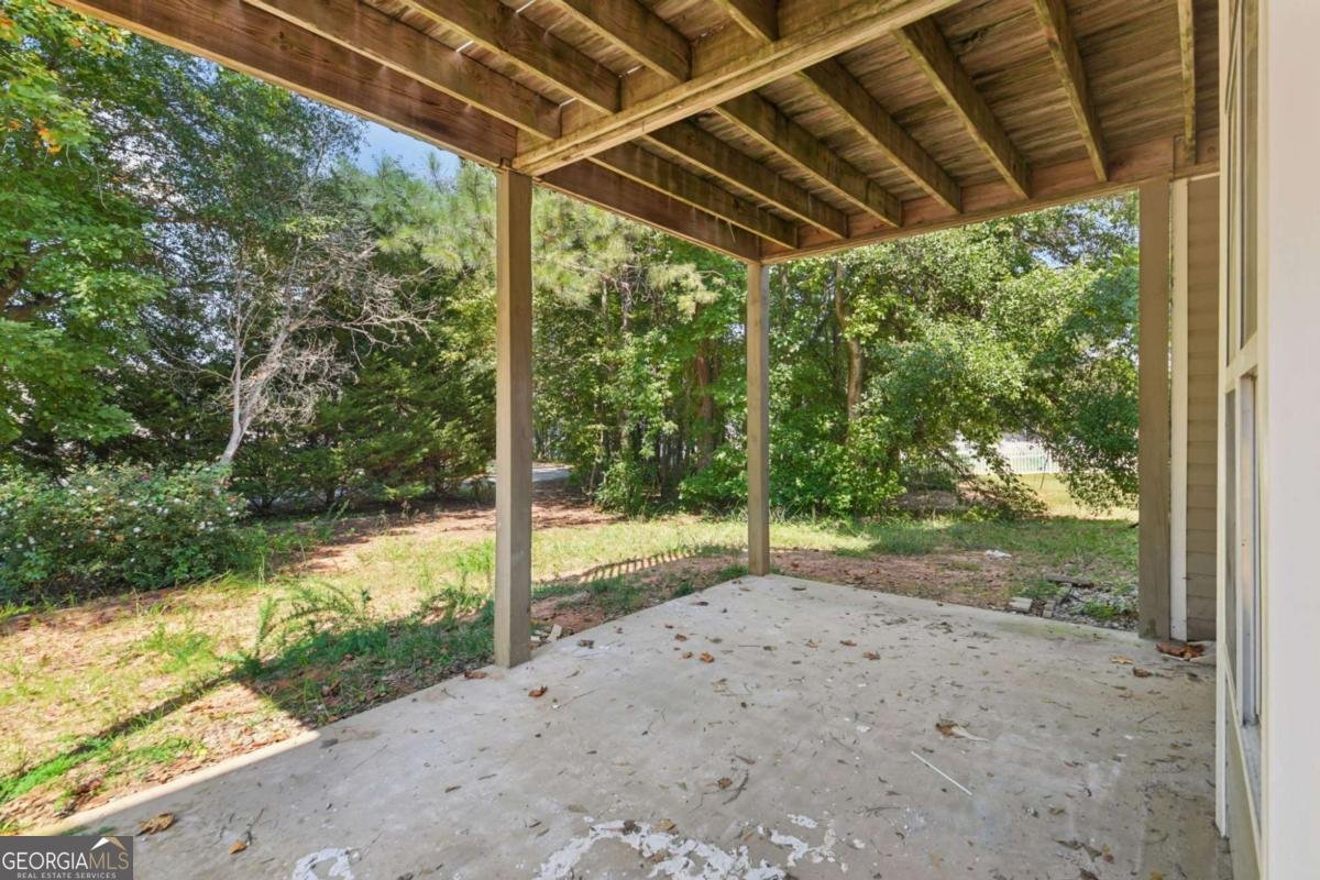 173 Freeman Forest Drive Newnan - Photo 45