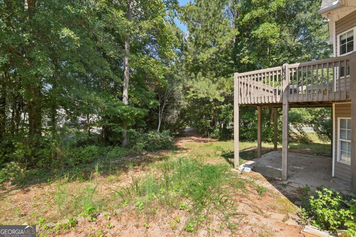 173 Freeman Forest Drive Newnan - Photo 46