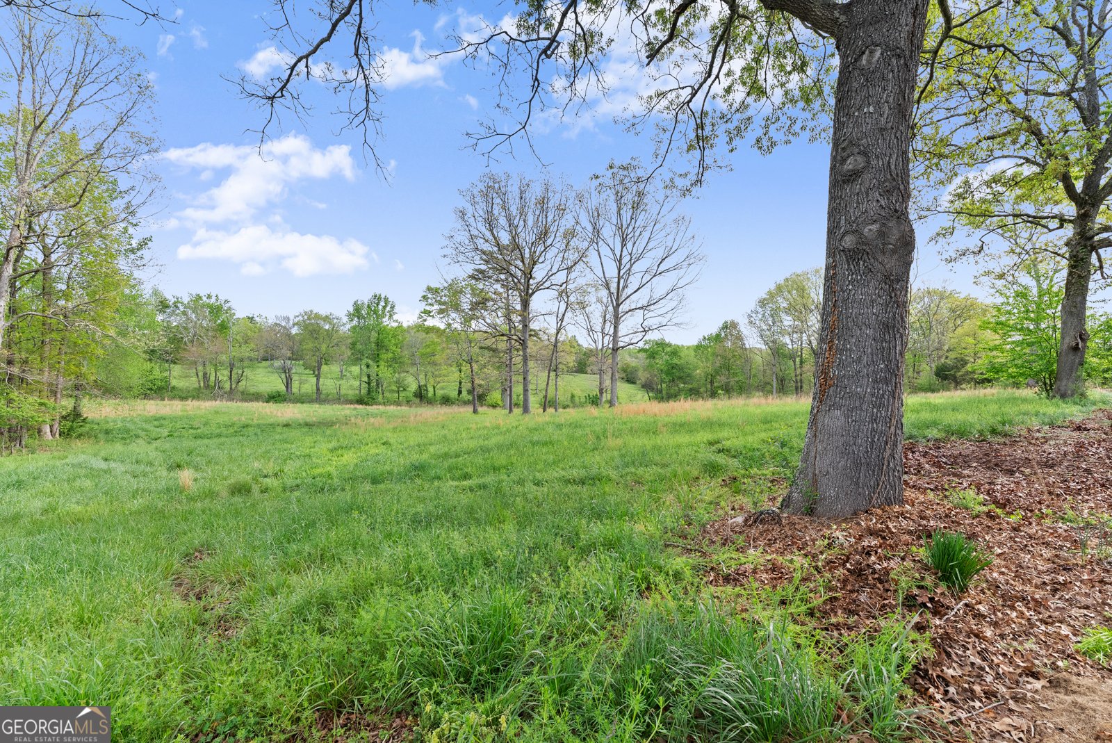 4841 Cobb Griffin Road Gillsville - Photo 71