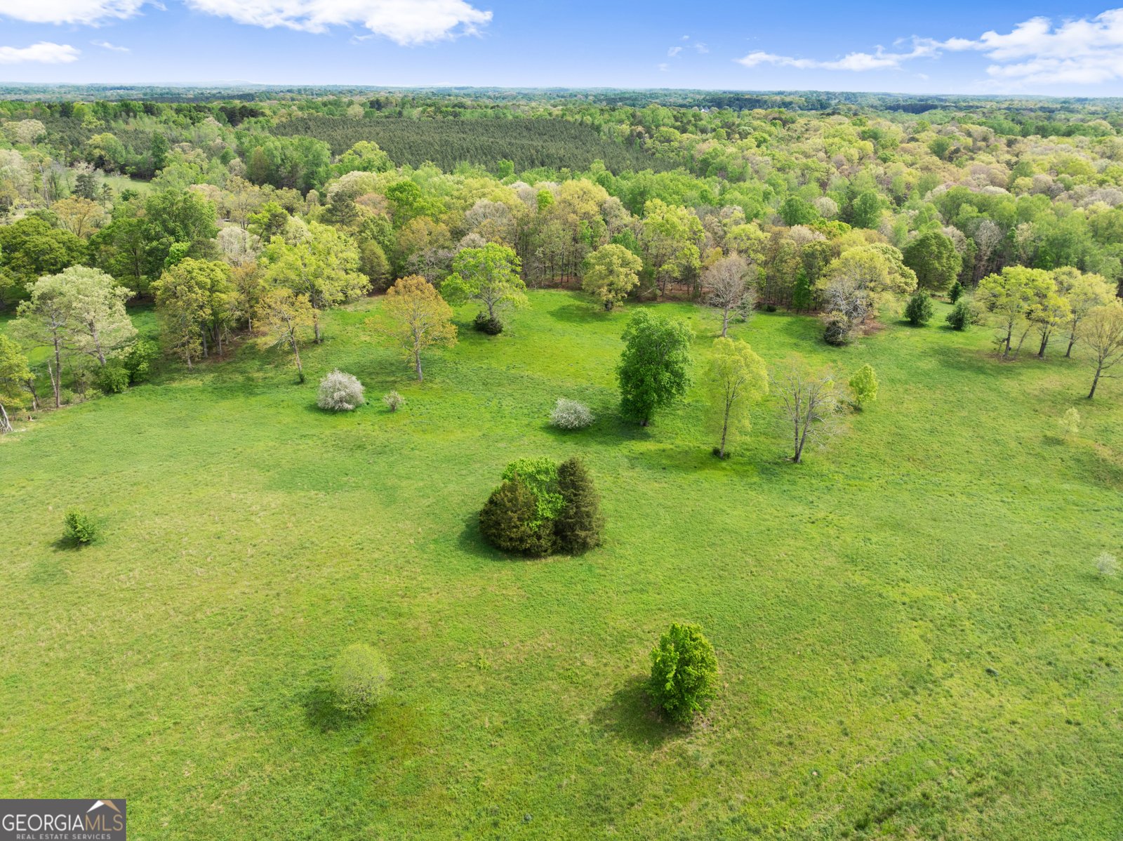 4841 Cobb Griffin Road Gillsville - Photo 79