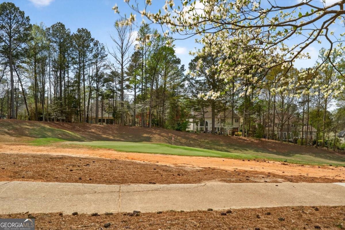 3224 Chipping Wood Court Milton - Photo 48